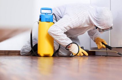 Dezinsekcija i fumigacija Beograd.