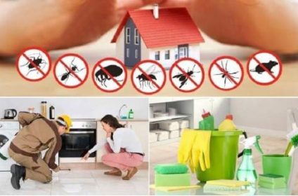 Dezinfekcija i fumigacija Beograd.