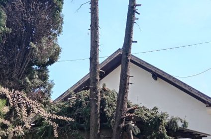 Tarupiranje površina Beograd