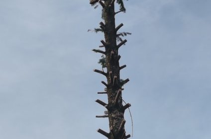 Uređenje parcela Beograd