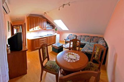 Smeštaj Sokobanja Vila Katarina