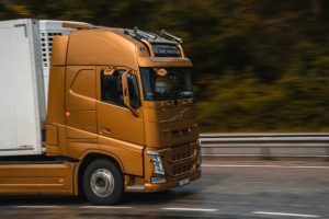 Transport Miša Jell