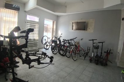 Servis Živa