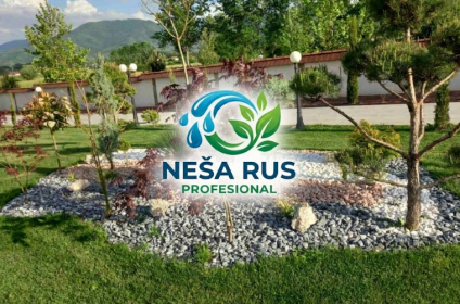 Neša Rus Profesional, Guberevac.