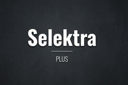 Garažna vrata roletne komarnici Selektra Plus