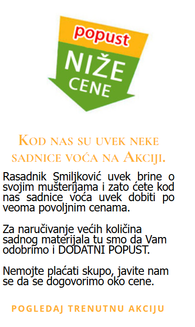 prodaja sadnica voća