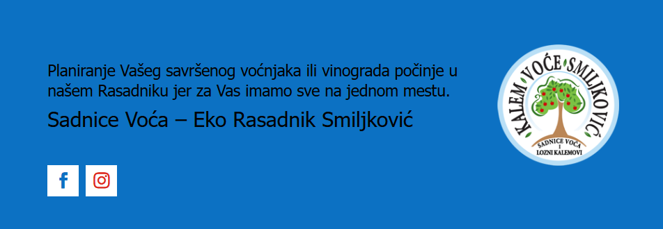 prodaja sadnica voća